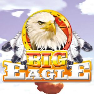 big eagle net srl